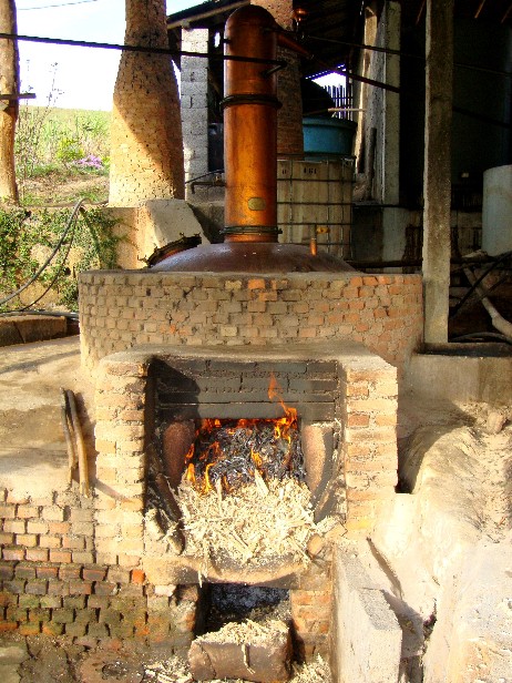 Alambique