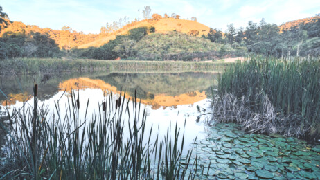 Lagoa do Junquinha Lagoa Alto Rio Doce